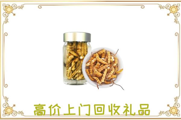 平鲁周边回收虫草